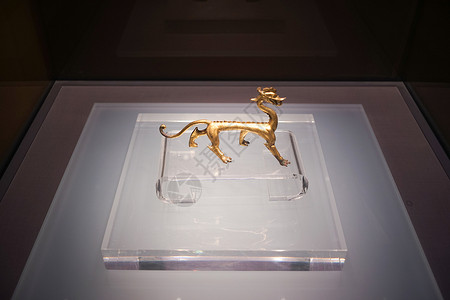 西安博物馆鎏金玉龙背景图片