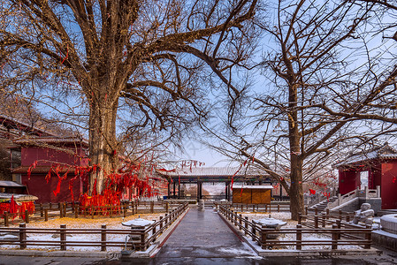 雪后千年古刹沂蒙龙兴寺背景图片