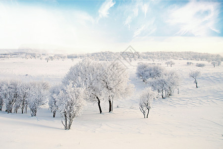 猫儿山雾凇冬季雪景设计图片