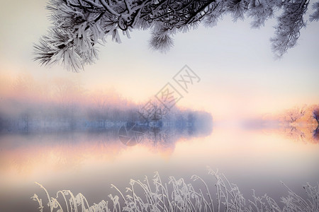 冬天的湖冬季雾凇设计图片