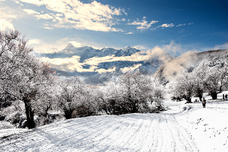 大冬树山冬季雪景设计图片