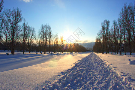 公园散步冬季雪景设计图片