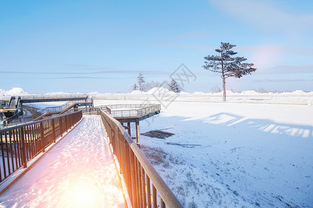 冬太阳冬季雪花设计图片