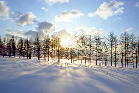 冬天的田野冬季雪景设计图片