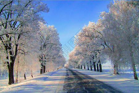雪中悍刀行冬季雪景设计图片