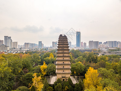 兴福寺秋天的小雁塔背景