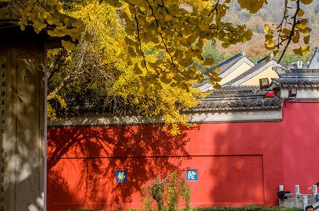 多彩建筑南京栖霞寺的红墙与银杏背景