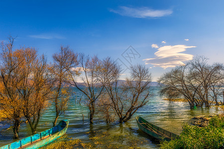 ps素材水草大理洱海风光背景