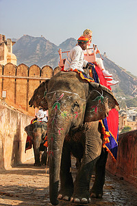 印度斋普尔琥珀堡骑大象高清图片
