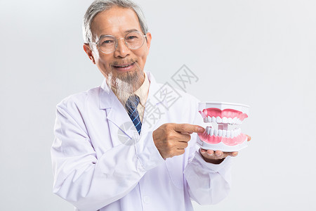 牙医手拿牙齿模型图片