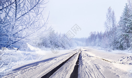 冬森林冬天雪景设计图片