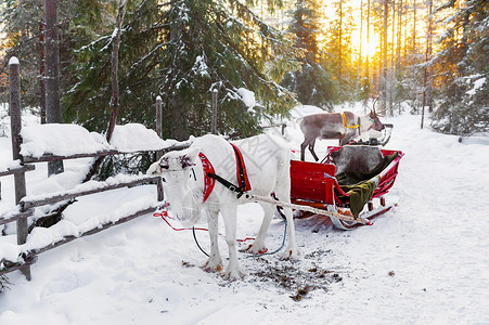 白胡子老头北欧芬兰洛瓦涅米圣诞老头人村驯鹿拉雪橇背景