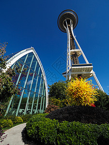 西雅图玻璃博物馆西雅图奇胡利花园背景