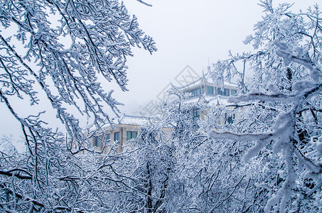寒冷节气插画黄山雾凇建筑雪景背景