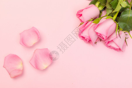 红色花背景素材情人节粉色背景素材背景