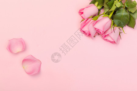 花朵少女心七夕情人节粉色玫瑰背景