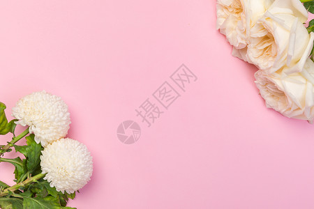 七夕情人节鲜花背景背景图片