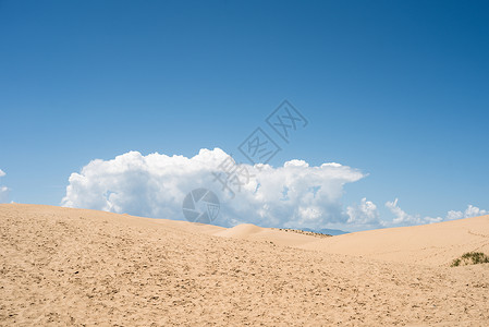 沙漠沙漠化青海湖沙化区背景