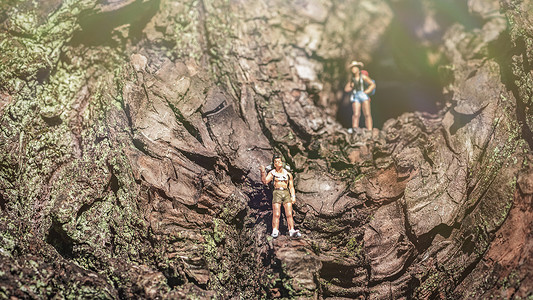 创意大树旅游探险的小人背景