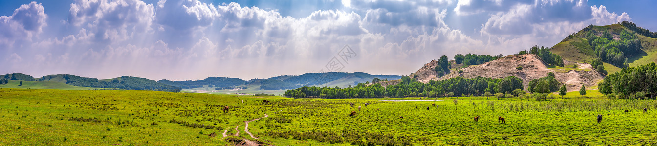 草原接片青青草原全景接片背景