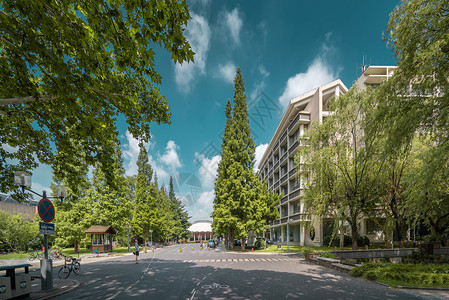 上海同济大学美丽校园背景图片