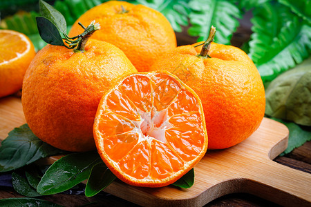 柑橘柑橘挂果高清图片
