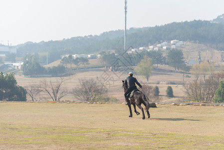 武汉木兰草原骑马背景图片