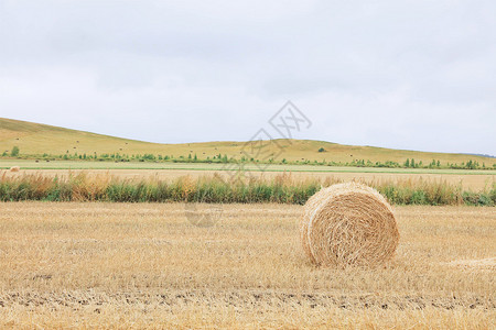 内蒙古呼伦贝尔草原背景图片