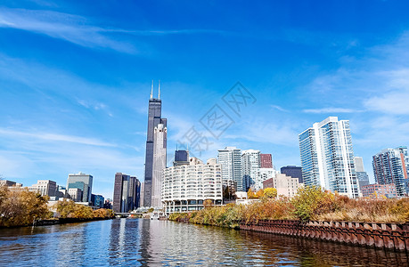 芝加哥建筑日出芝加哥城市建筑群背景