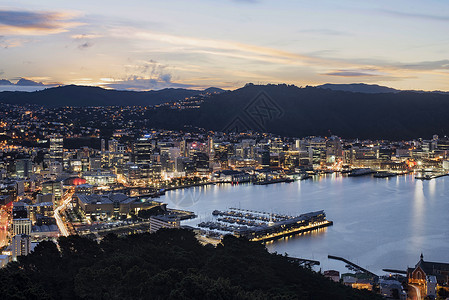 维多利亚建筑新西兰惠灵顿维多利亚公园俯视夜景背景