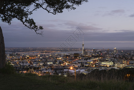 新西兰奥克兰夜景 城市天际线高清图片