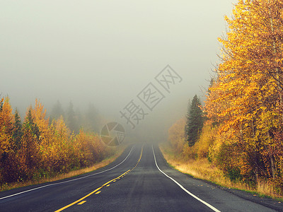 美国阿拉斯加阿拉斯加斯特灵公路雾气秋景背景