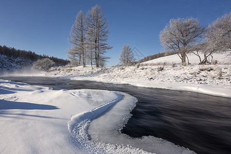 树的积雪素材阿尔山不冻河背景