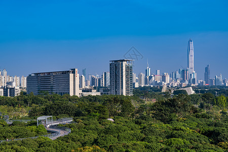 深圳香蜜公园高清图片
