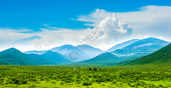 奇幻唯美风景新疆天山下的草原唯美风景背景