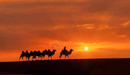 夕阳沙漠落日下的驼队背景