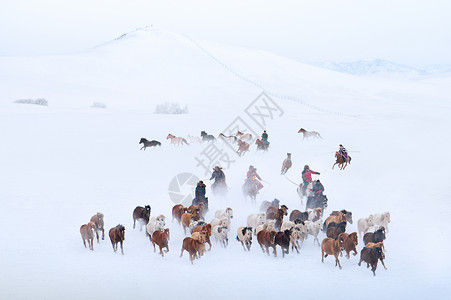 拉琴游牧民族雪地上奔驰的骏马图背景