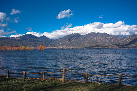 云南拉市海湿地公园背景