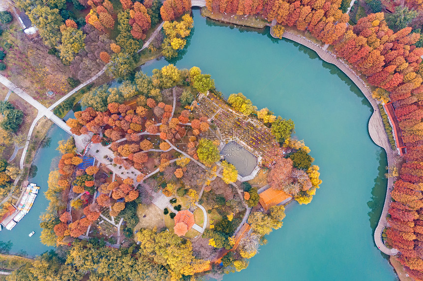 俯瞰武汉城市公园的秋天图片