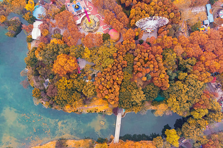 秋天的颜色配图俯瞰武汉城市公园的秋天背景