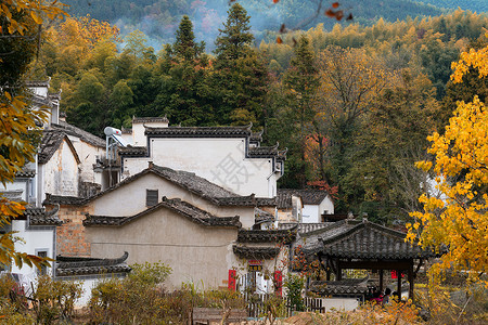 皖南安徽塔川秋色背景