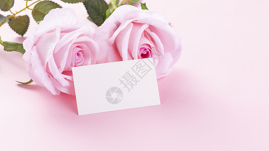 紫色花爱心标签情人节玫瑰背景