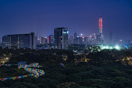 深圳香蜜公园夜景图片