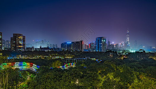 全景彩色建筑深圳香蜜公园夜景背景