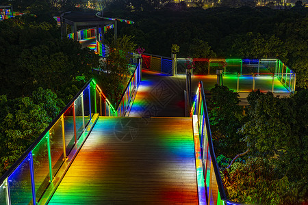 梦幻色深圳香蜜公园道路夜景背景