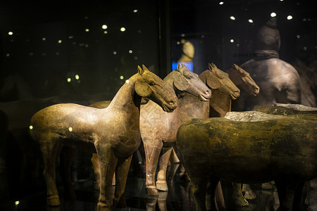 马的世界西安秦始皇兵马俑博物馆背景