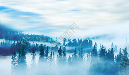 森林早晨山间云雾缭绕设计图片