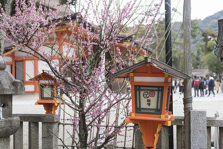 传统神社日本京都八坂神社背景