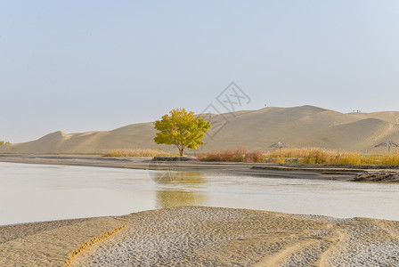 新疆塔里木河风光高清图片