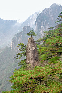 安徽黄山景区风光图片